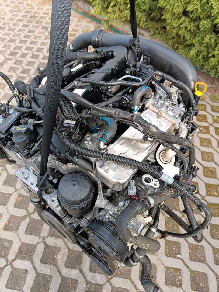 Mercedes Motor OM651.930